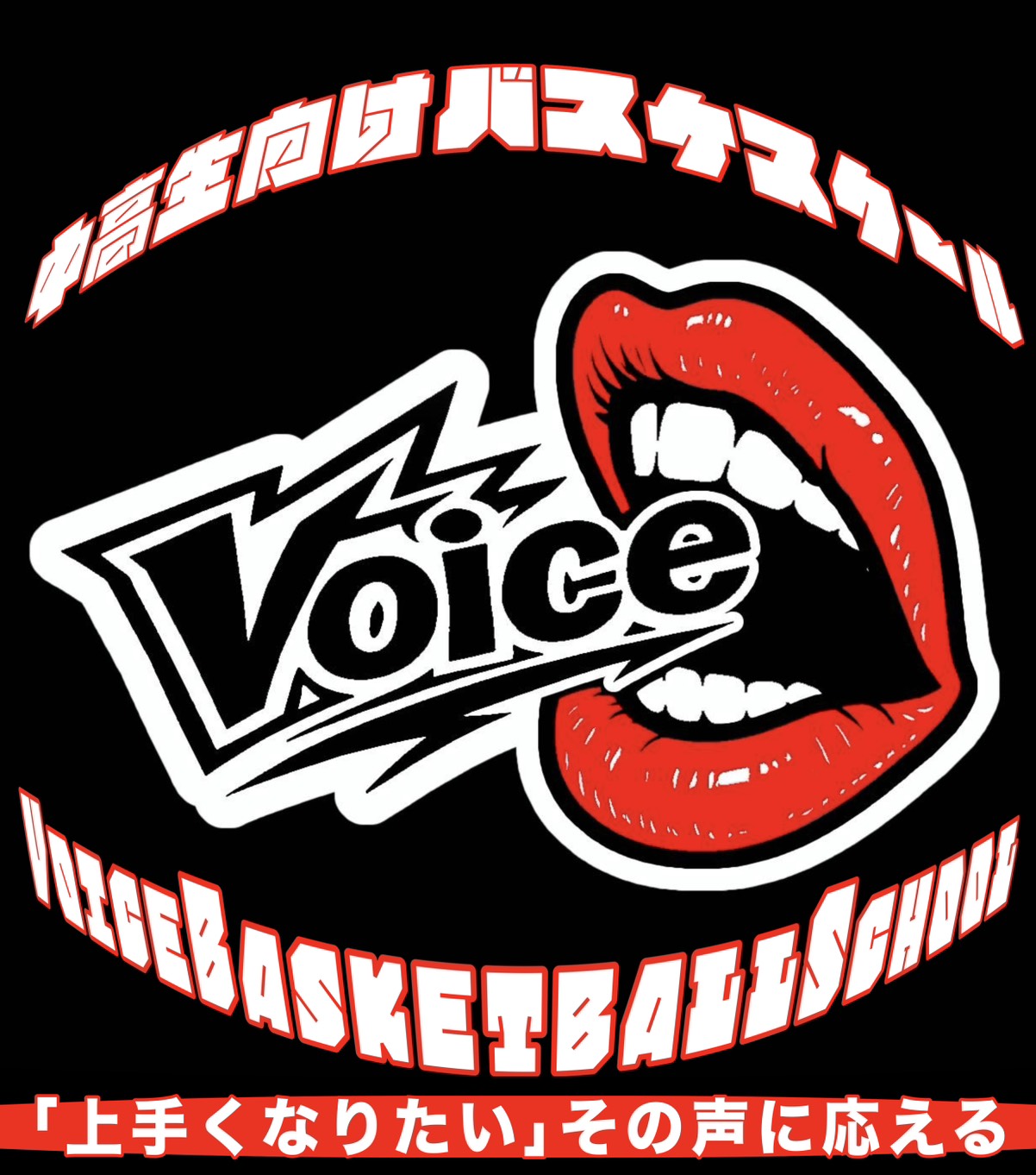 Voice
